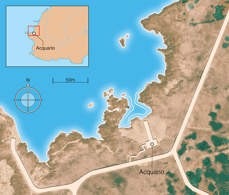 Acquario